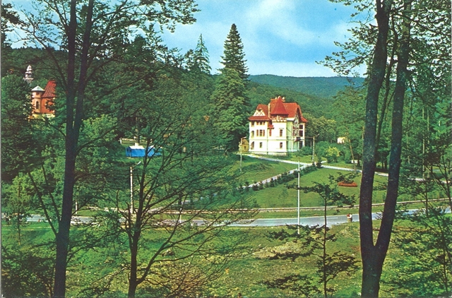 2031-1 - Băile Moneasa
